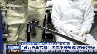 中国空间站小鼠饲养_神舟二十一号小鼠实验_中国首次送小鼠进入“太空家园”