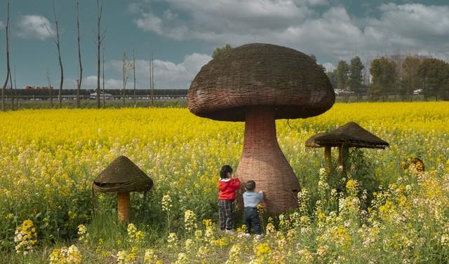 儿子结婚父母心理调整_中老年空巢抑郁应对_家庭变迁的影响