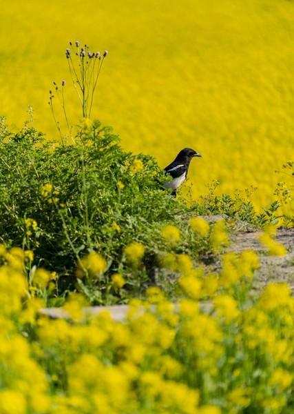 家庭变迁的影响_如何与已婚子女相处_父母角色降级