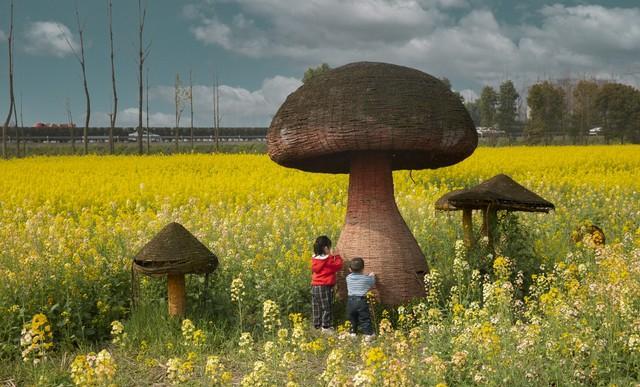 父母角色降级_如何与已婚子女相处_家庭变迁的影响