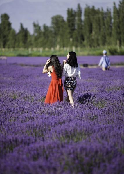 家庭变迁的影响_如何与已婚子女相处_父母角色降级