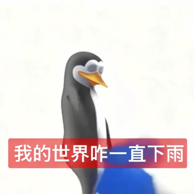 真的想问:下雨天的时候,鸟都在干什么呢?