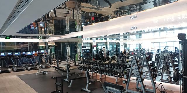 沉肩训练_引体向上进步技巧_引体向上省力技巧