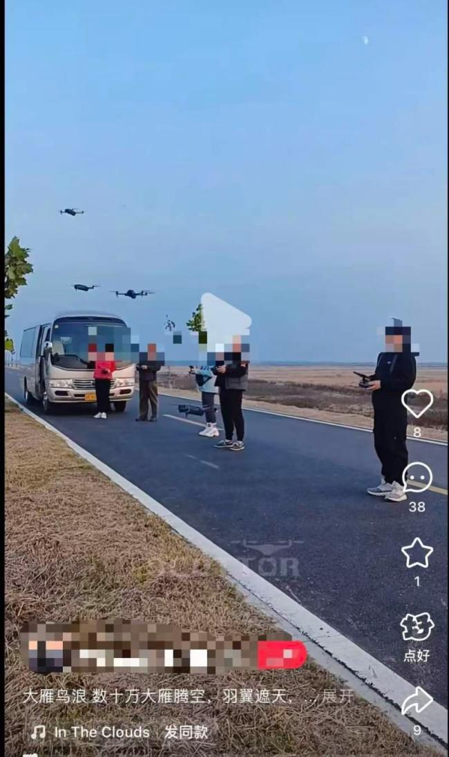 无人机低飞观鸟撞死大雁 民警回应 呼吁设立禁飞区