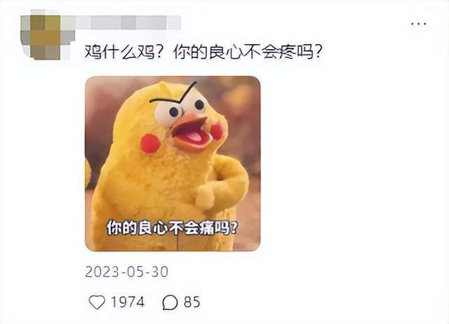 全运会吉祥物“大湾鸡”全网刷屏 从海豚到网红鸡的奇妙转变(2)