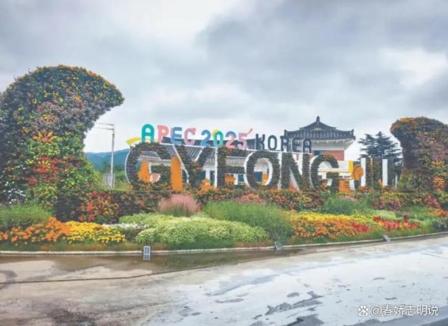 中方一句“好吃”让韩国点心店爆火 外交小插曲引发热议