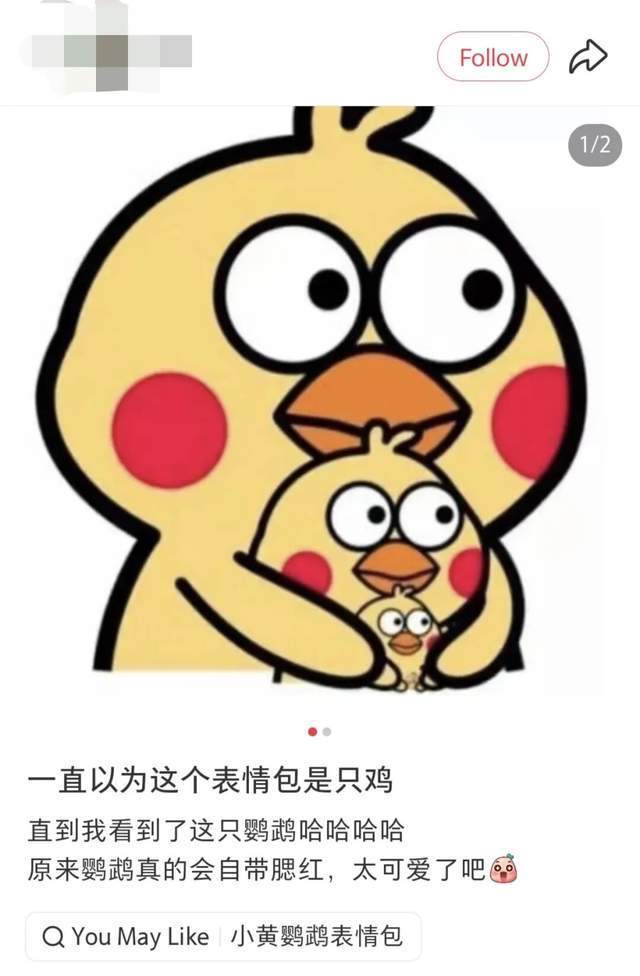 全运会吉祥物“大湾鸡”全网刷屏 从海豚到网红鸡的奇妙转变