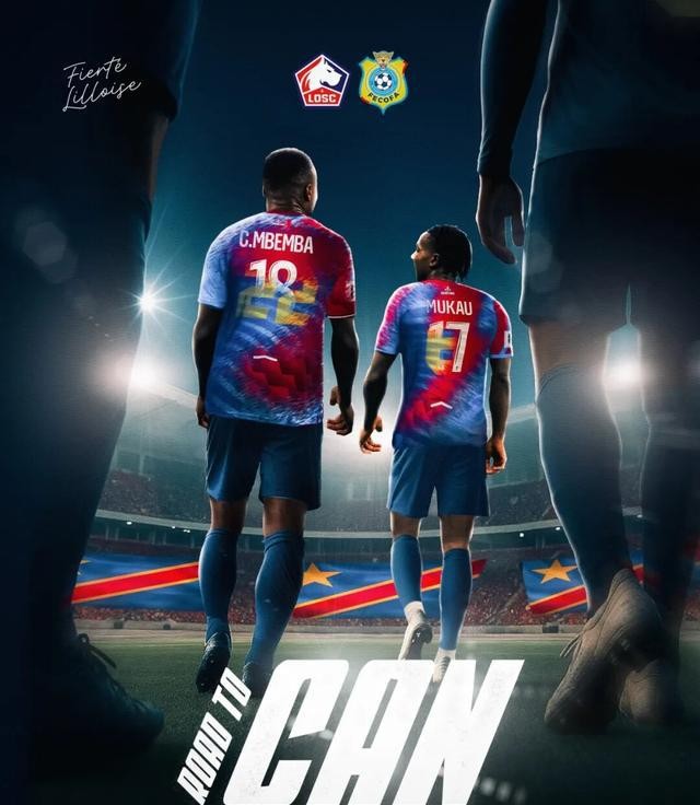 曾经的法甲冠军里尔队阵容_法甲联赛里尔马赛比赛分析_里尔近期战绩和伤病情况