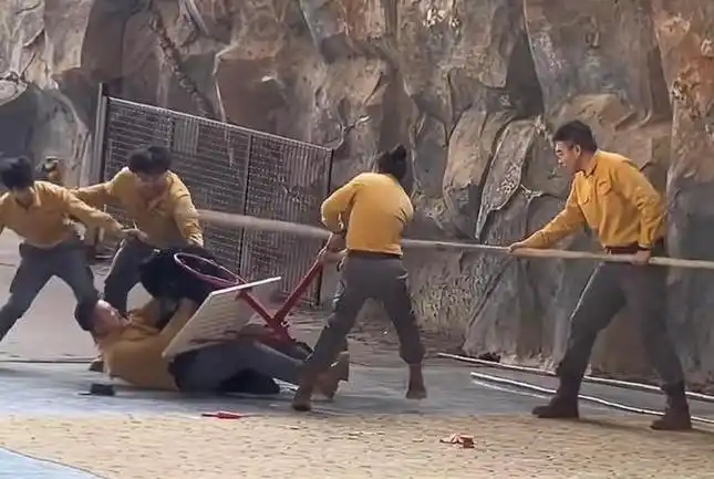 杭州野生动物世界黑熊攻击饲养员事件_黑熊争抢驯养员携带食物 杭野通报_杭州野生动物世界黑熊表演取消