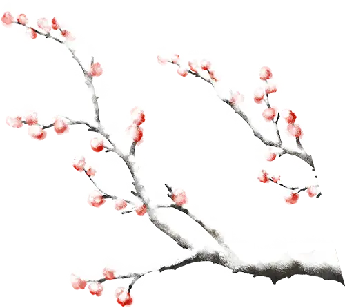 大雪节气三候_大雪节气习俗_大雪节气为啥要喝红薯粥