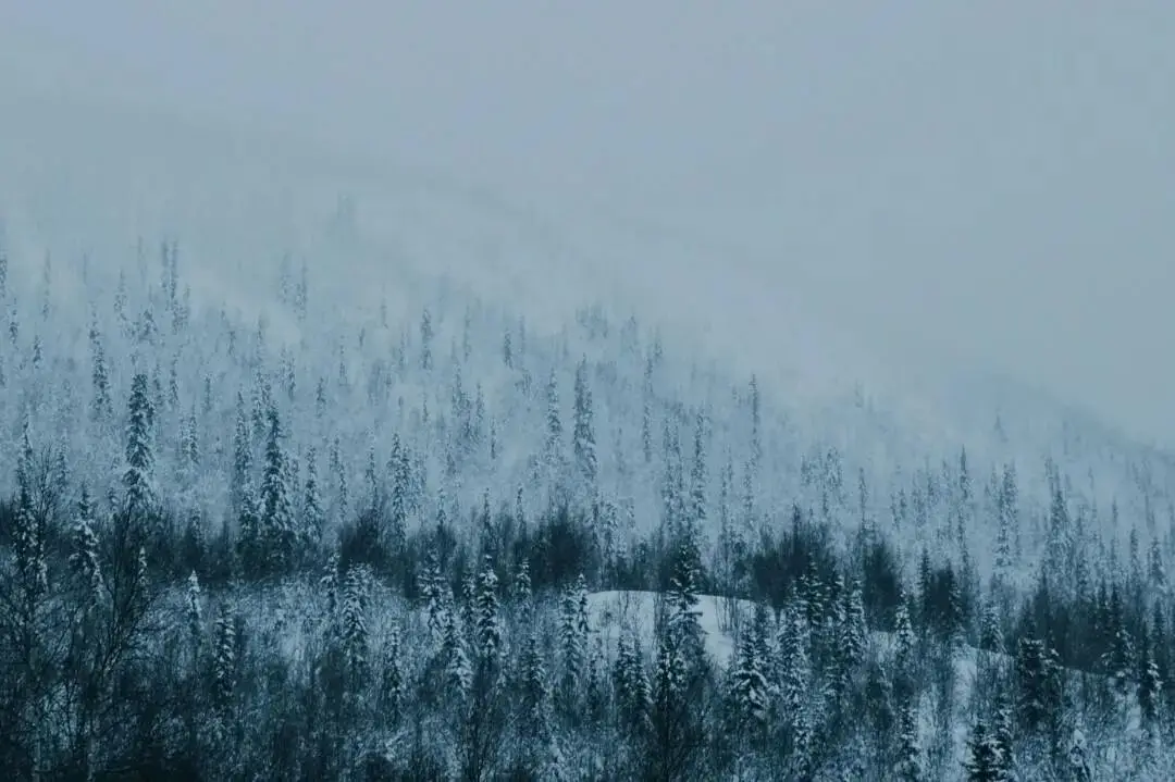 大雪节气为啥要喝红薯粥_大雪节气三候_大雪节气习俗