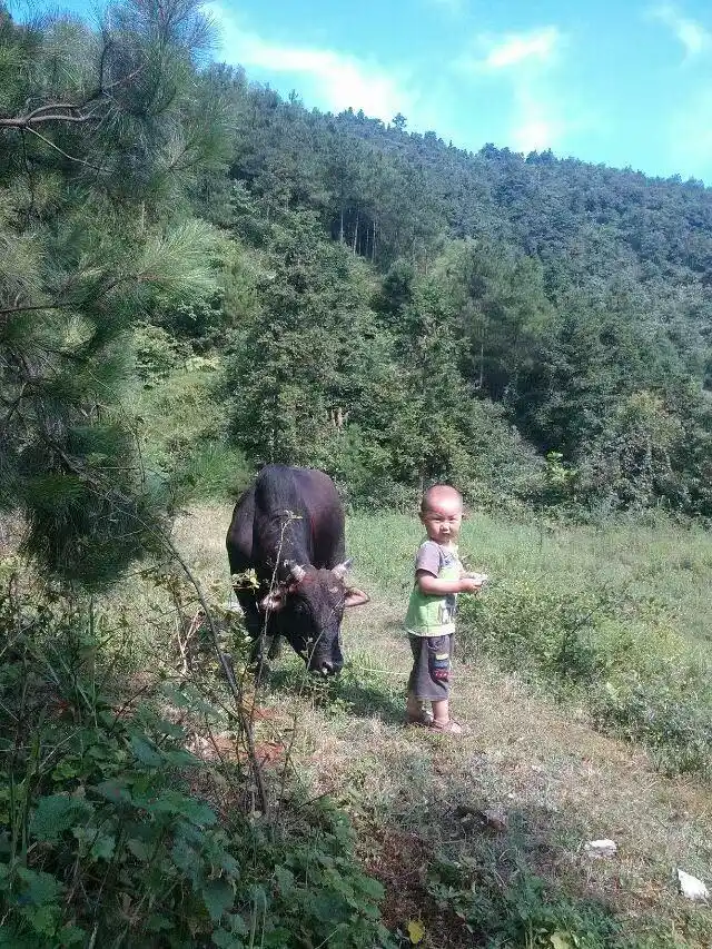 14岁初中生作文看哭全网 本人回应_藏在罐子里的爱 中学生作文 网络引发共鸣