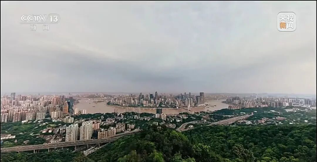 沈伯洋 台独顽固分子 分裂国家罪_重庆警方收到大量举报沈伯洋线索