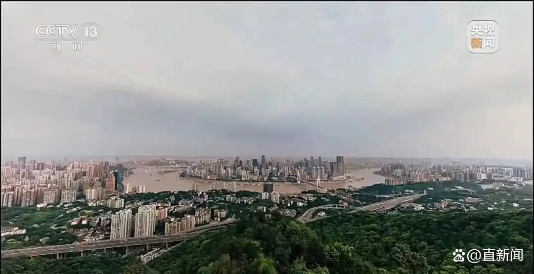 重庆警方收到大量举报沈伯洋线索_沈伯洋 台独顽固分子 分裂国家罪