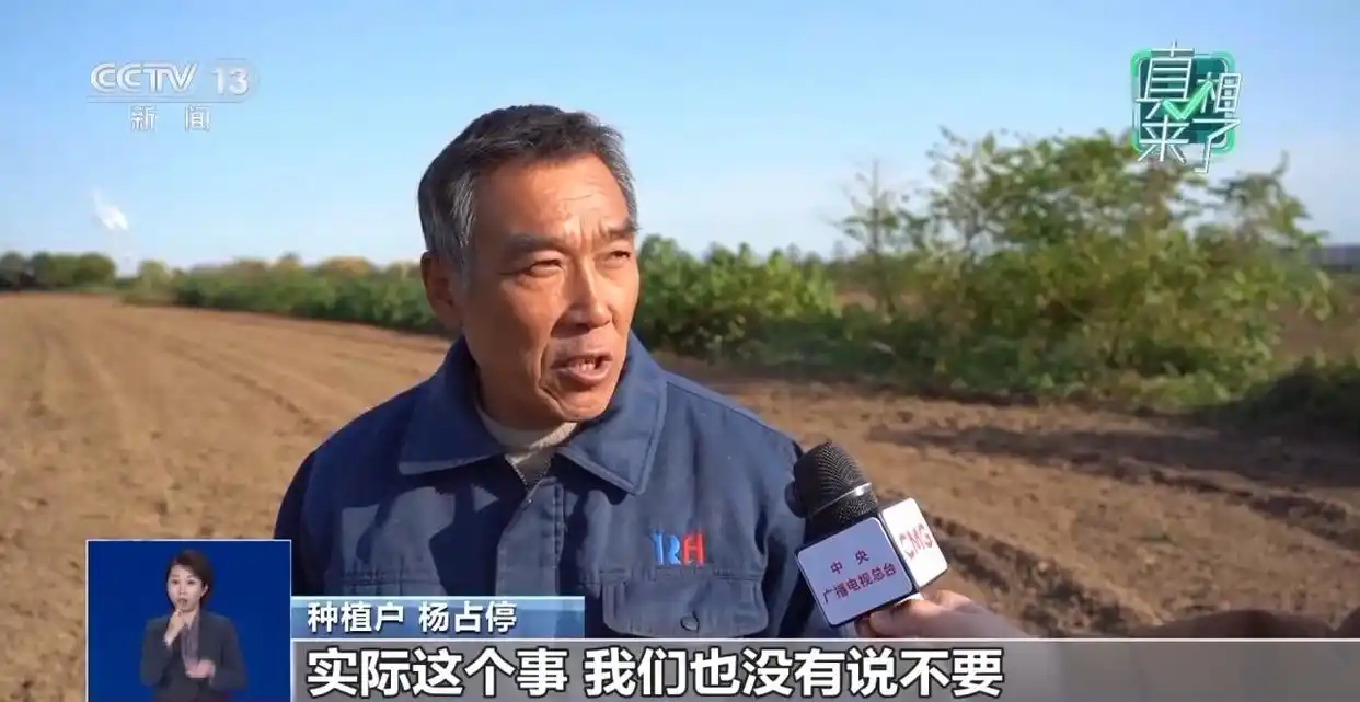 ‘千亩辣椒免费摘’系谣言,保护农户权益真相揭秘