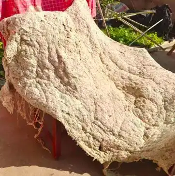 南方冬天抗湿穿衣指南_南方人过冬保命指南:扔掉夹棉睡衣_南方湿冷冬天怎么穿