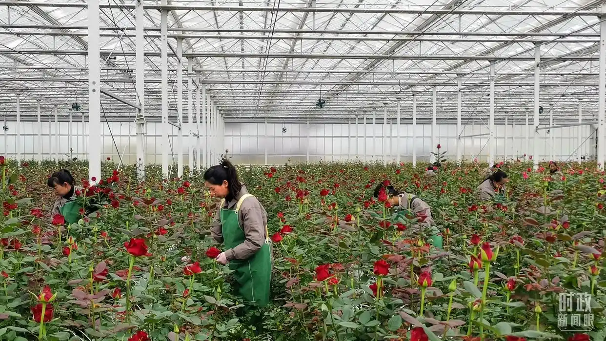 中央经济工作会议 2026年经济工作部署_中央经济工作会议释放哪些重要信号_“十五五”规划 中国经济发展着力点