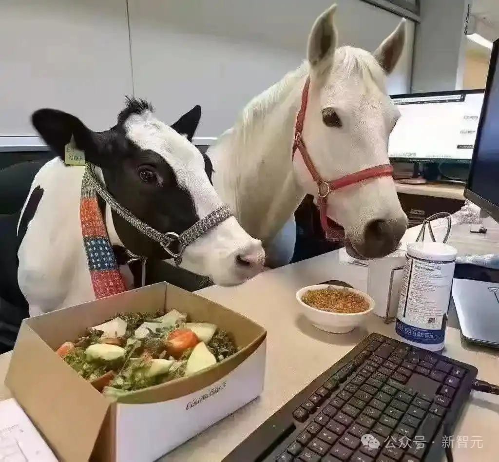 GPT-5.2模型对比_gpt-5.2来了!openai最新发布_GPT-5.2评测