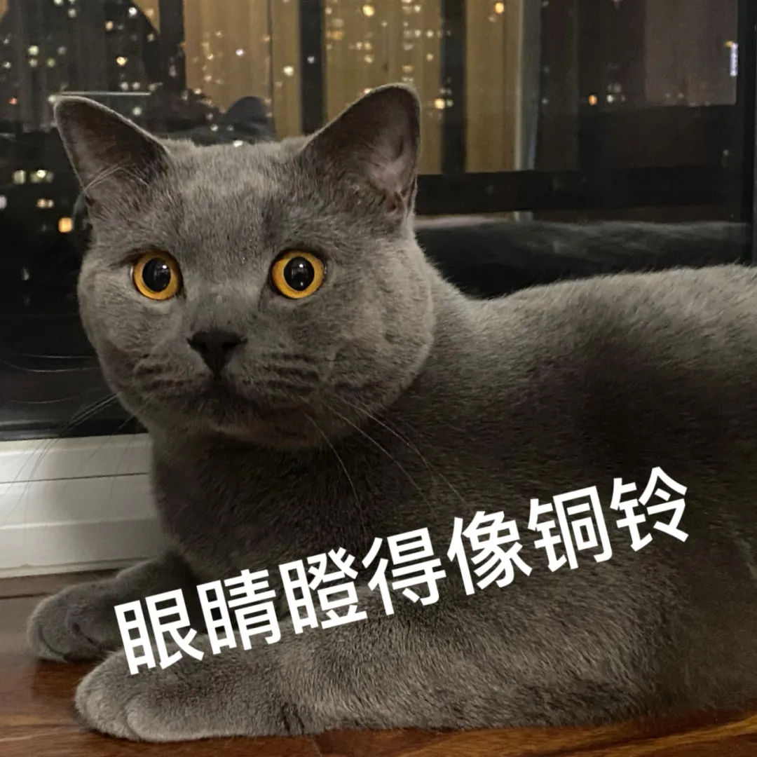 子女改随母姓拒付抚养费_离婚子女抚养费_离婚后孩子随母姓 男方拒付抚养费