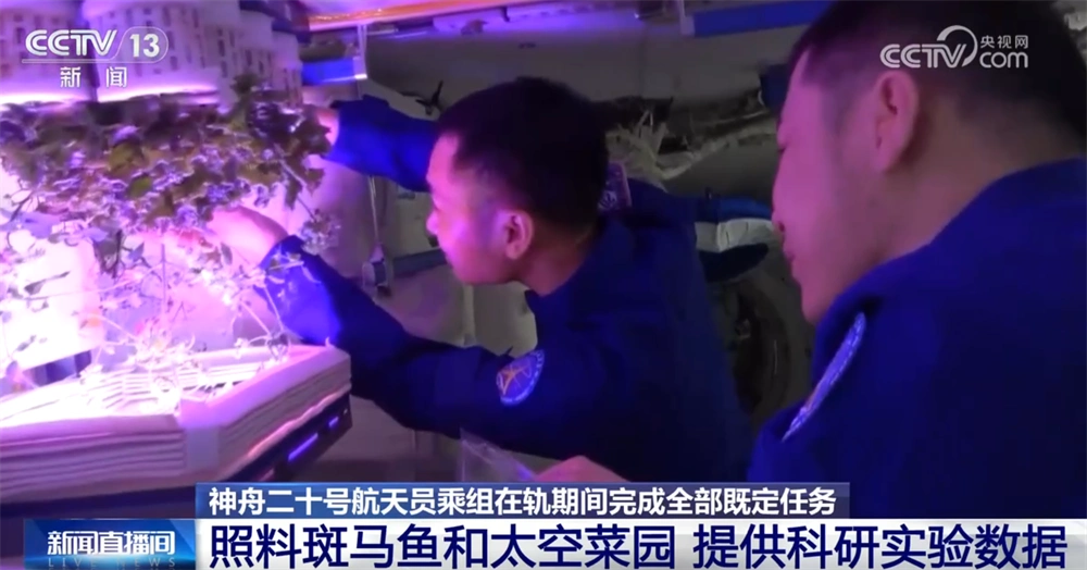 神二十航天员报告感觉良好_神舟二十号航天员乘组即将返回_神舟二十号航天员在轨任务成果
