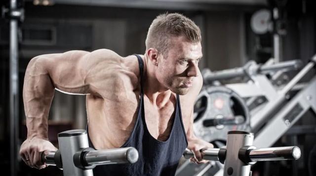 双杠臂屈伸激活度研究_怎么锻炼胸肌最快_双杠臂屈伸胸肌训练