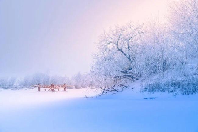 今日小雪 要做这些事