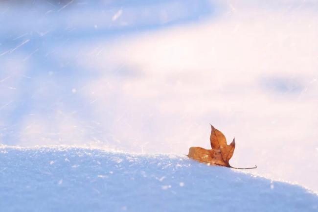 今日小雪 要做这些事 享受冬日宁静与温暖
