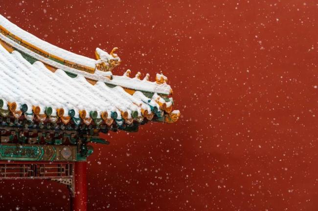 今日小雪 要做这些事 享受冬日宁静与温暖