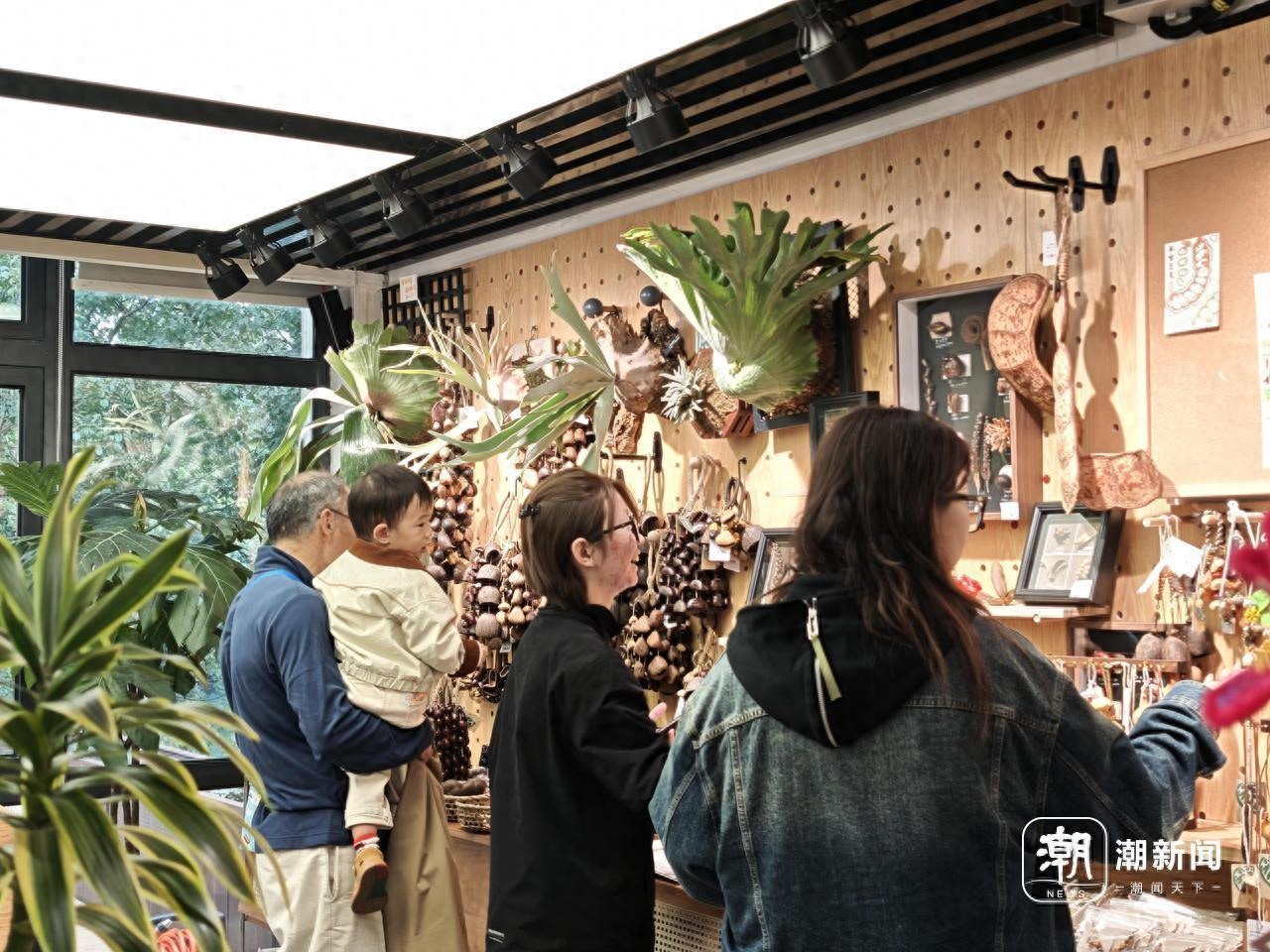 果壳摇铃火了,杭州植物园文创店人气爆棚!