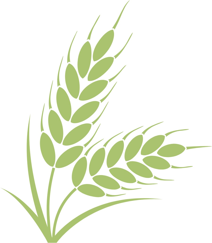 今日“霜降” 气温由凉转寒_霜降祭祀土地神祖先_霜降节气食养习俗