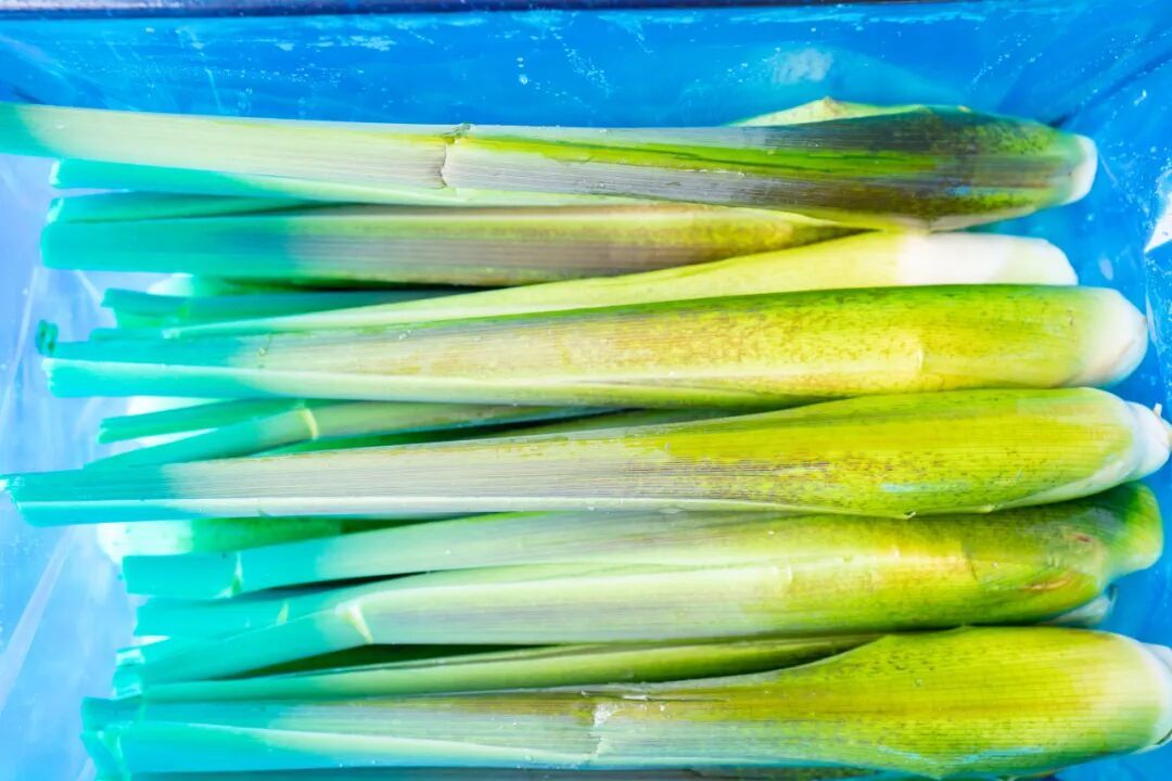 今日“霜降” 气温由凉转寒_霜降节气食养习俗_霜降祭祀土地神祖先