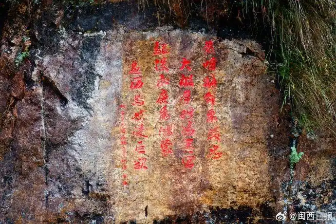 亚洲最大邮轮船队重组_中国旅游集团邮轮运营平台公司_亚洲最大船队将诞生