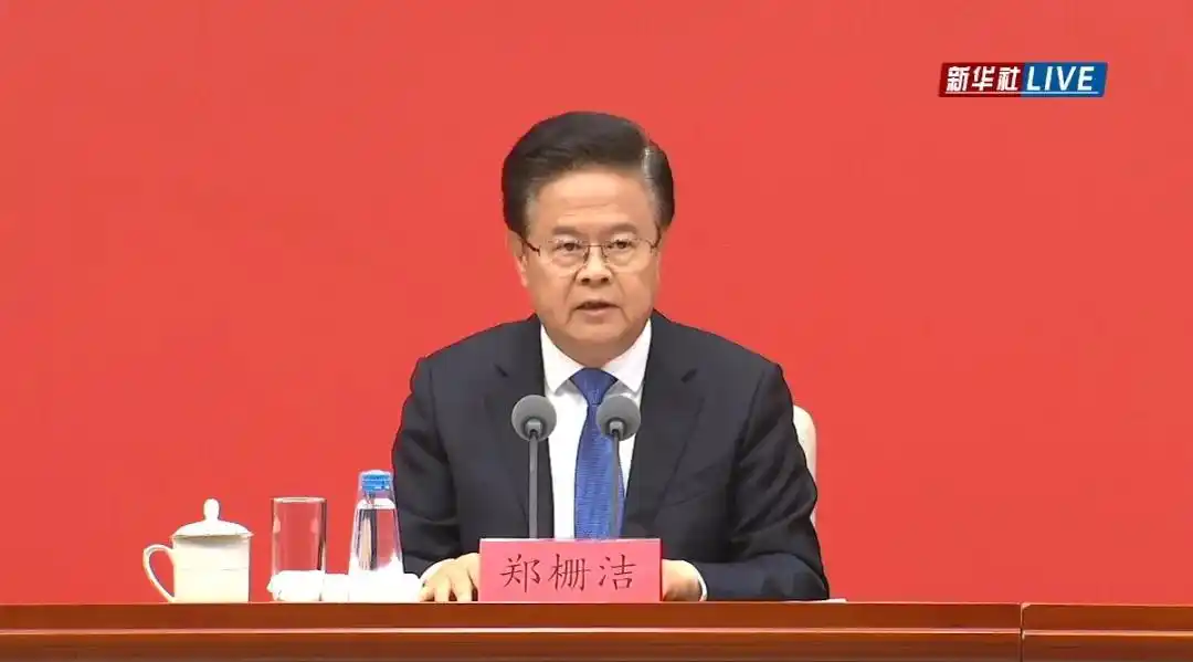 未来10年将再造一个中国高技术产业_国民经济和社会发展第十五个五年规划_党的二十届四中全会