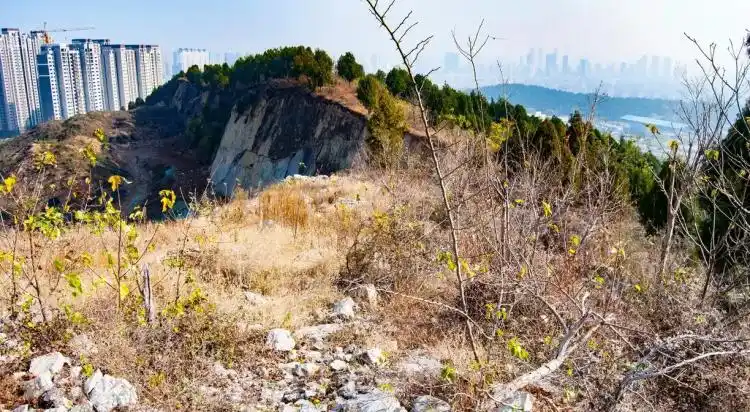 “摸金校尉”在村里租房3年秘密寻墓_卧牛山楚王夫妇墓 盗墓案 处理结果