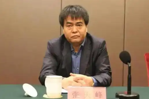 江敦涛被查 重庆：坚决拥护中央决定_中央纪委国家监委纪律审查和监察调查_重庆市政府党组成员、副市长江敦涛被查