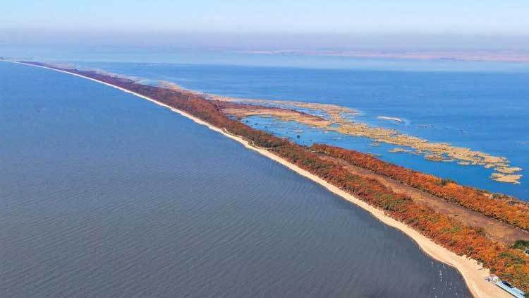 青少年强迫症症状表现_大学生强迫症案例分享_大学生患“强迫症” 每晚用酒精洗腿