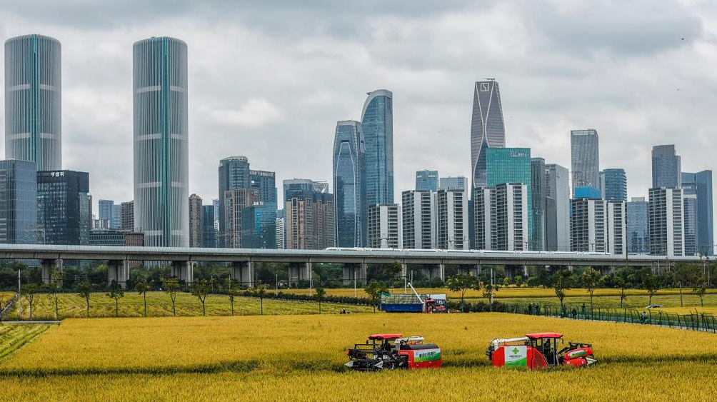 大学生患“强迫症” 每晚用酒精洗腿_青少年强迫症症状表现_大学生强迫症案例分享