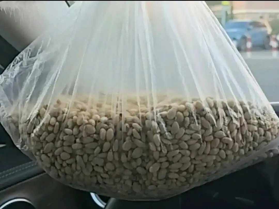 松子仁40元一两事件_路边摊松子仁骗局_40一斤变40一两 女子买到天价松子仁