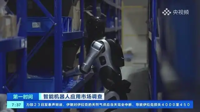 具身智能机器人租赁市场_200元一天就能带个机器人回家_消费级具身智能机器人购买趋势