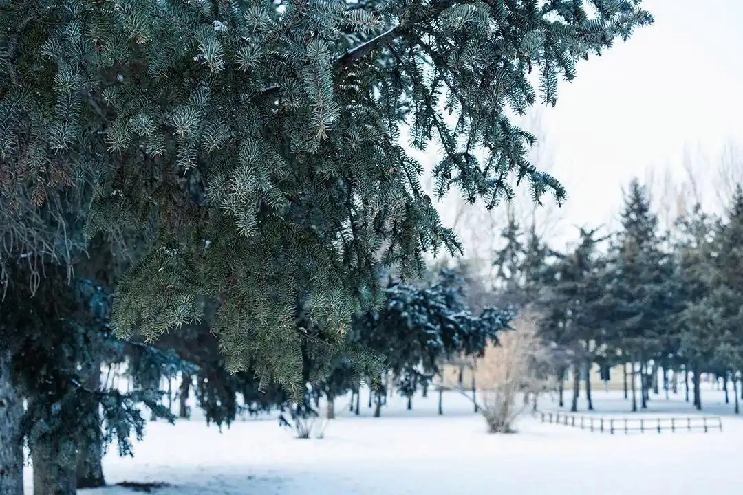 台湾宜兰县海域6.6级地震_台湾宜兰县海域6.6级地震_国家卫健委门诊预交金退费
