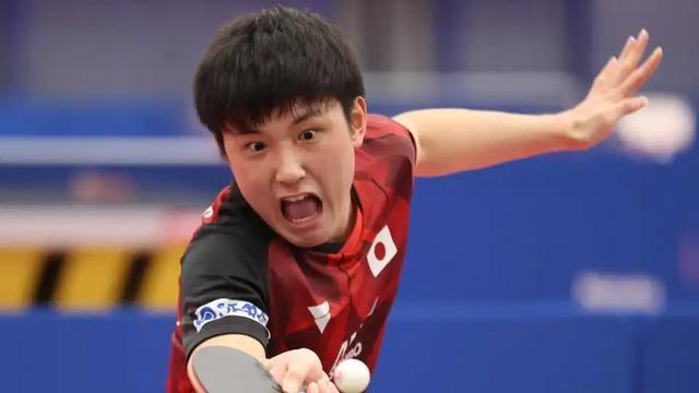 张本智和WTT总决赛冠军_2025世界乒乓球锦标赛_东京电视台报道世乒赛团体赛