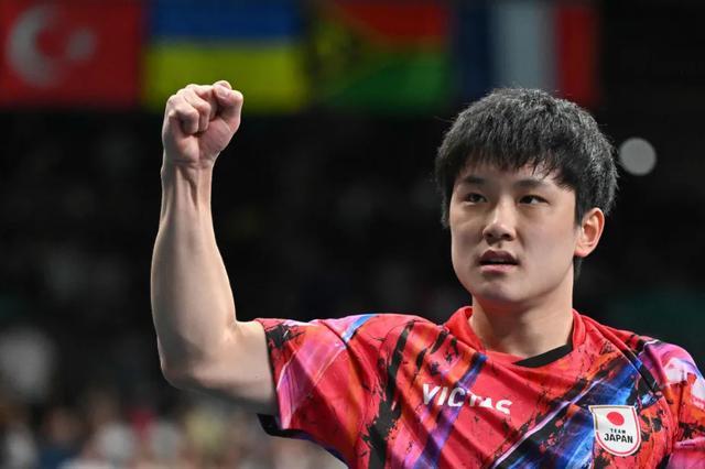 张本智和WTT总决赛冠军_东京电视台报道世乒赛团体赛_2025世界乒乓球锦标赛