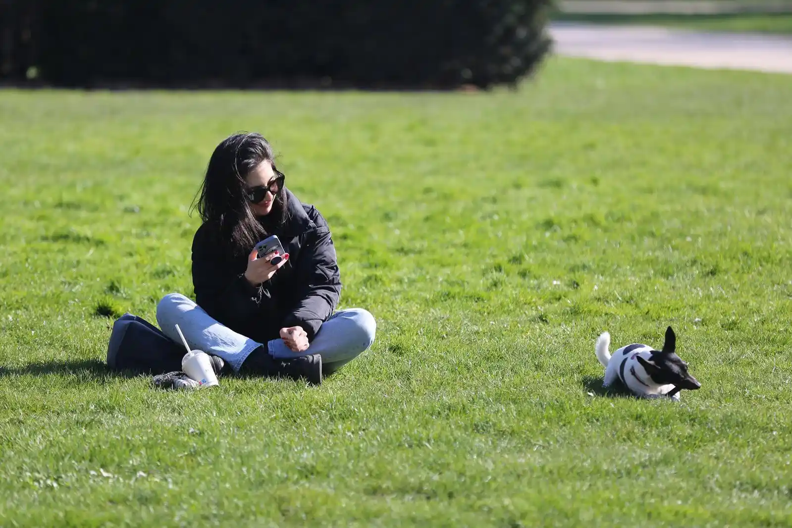 史上最严养犬新规来了！2026年起遛狗不牵绳、犬吠扰民将面临罚款甚至拘留