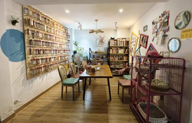 拒绝35岁中年人的青旅 00后也不住了 公共性成双刃剑