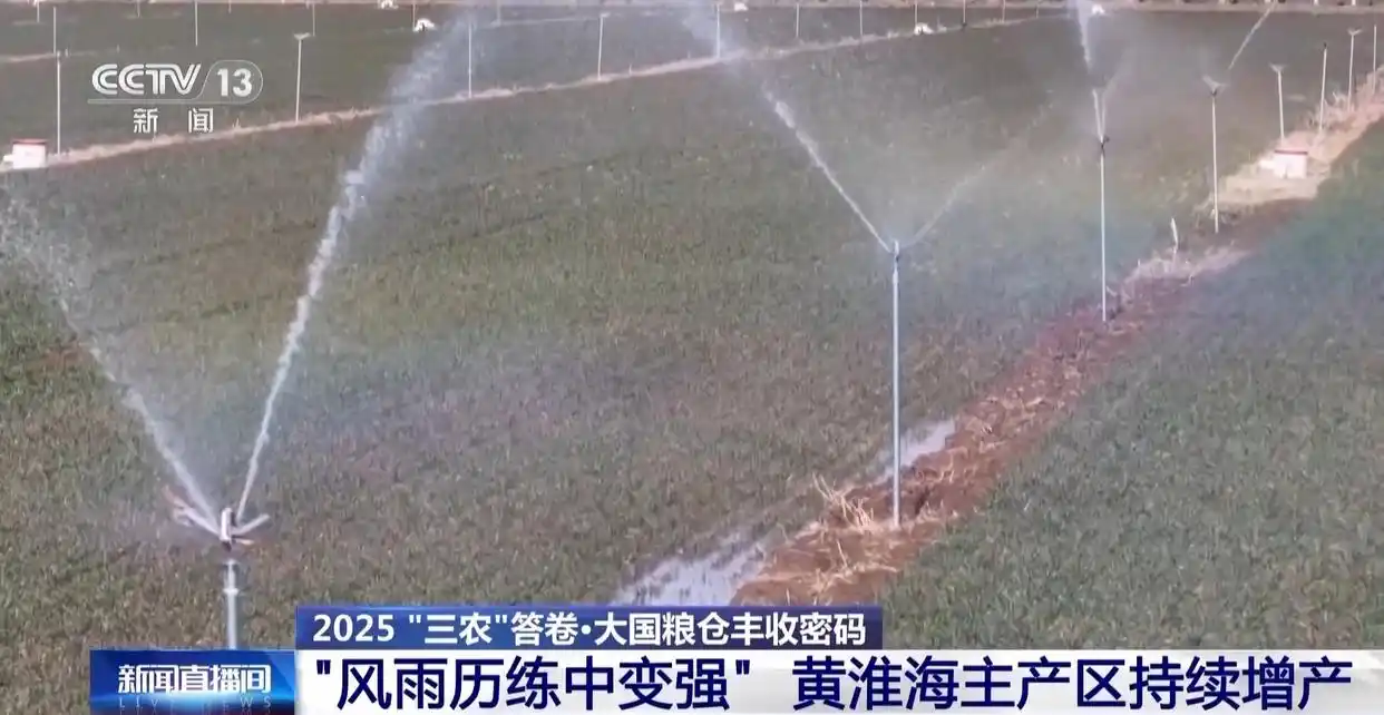 黄淮海地区农业基础设施升级_黄淮海粮食主产区产量增长趋势_为何今年全国粮食产量再创新高