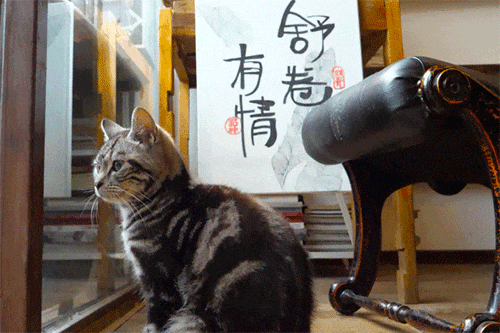 乡村咖啡馆_社会学想象力喝咖啡_数字游民社区