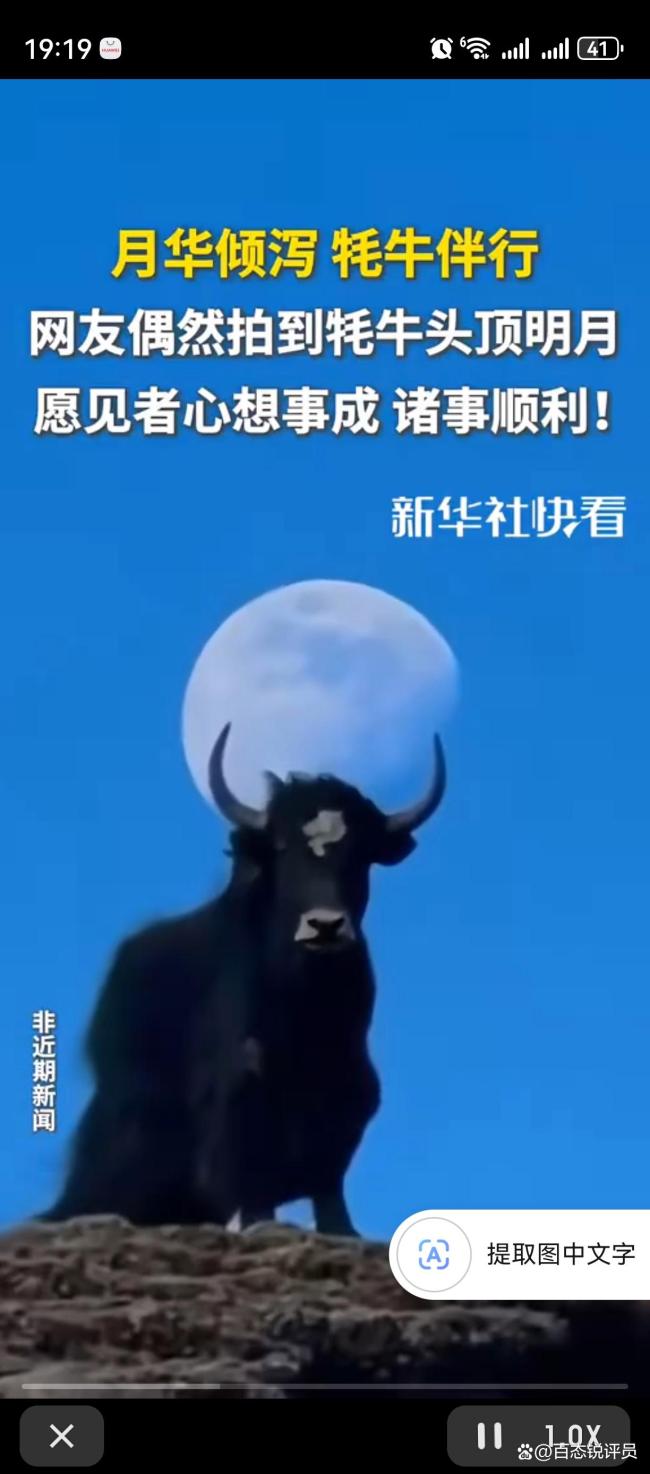 网友偶然拍到“牦牛头顶明月