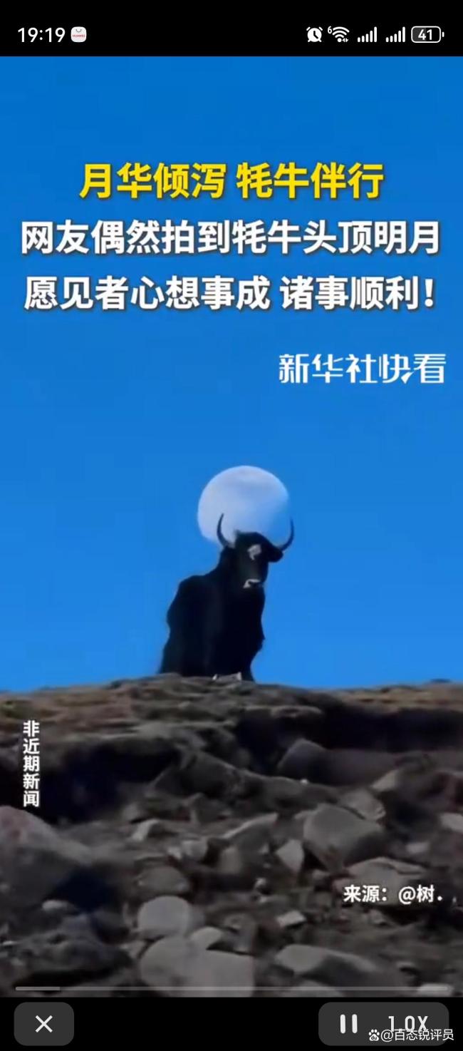 网友偶然拍到“牦牛头顶明月”：自然与人文的千年共鸣