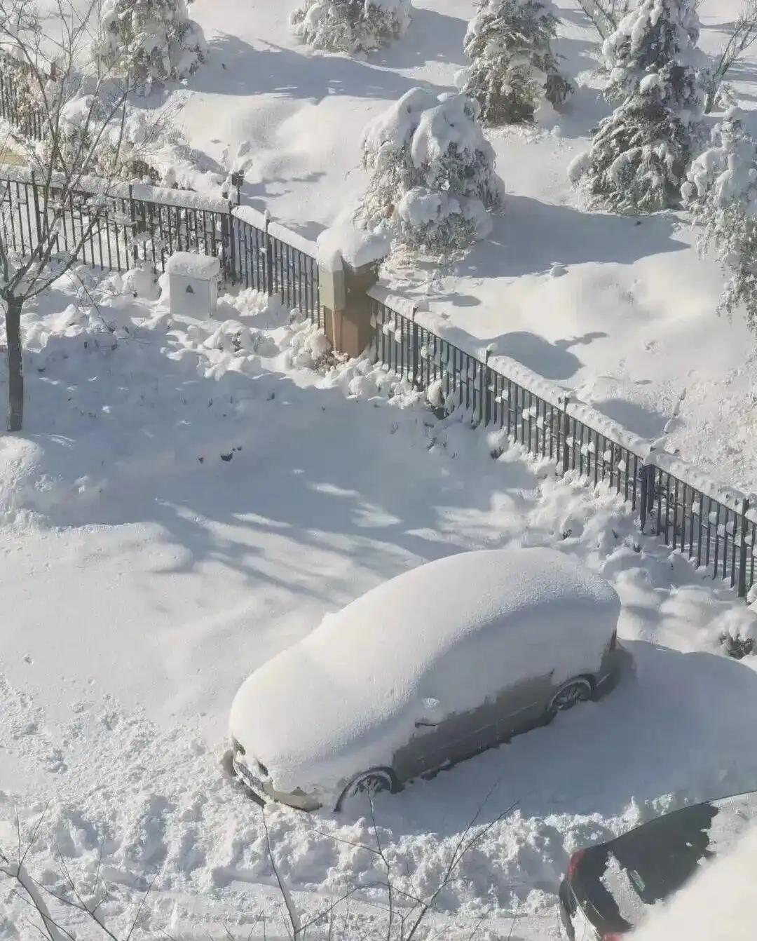 山海雪景图_中国这个“雪窝子”你知道吗_威海冷流雪