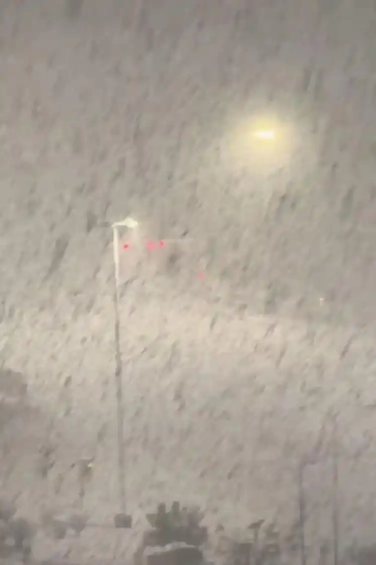 冷流雪形成原因_威海烟台雪下到冒烟?咋回事_威海烟台冷流雪特点